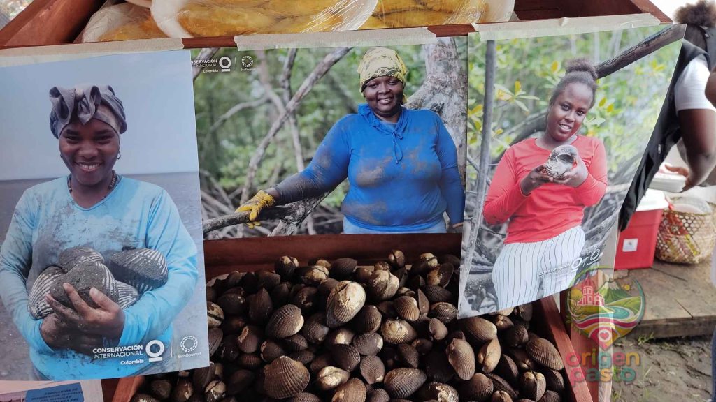 Marisqueras de La Pingua, en Tumaco, recolectando productos del mar de forma tradicional en Origen Pasto