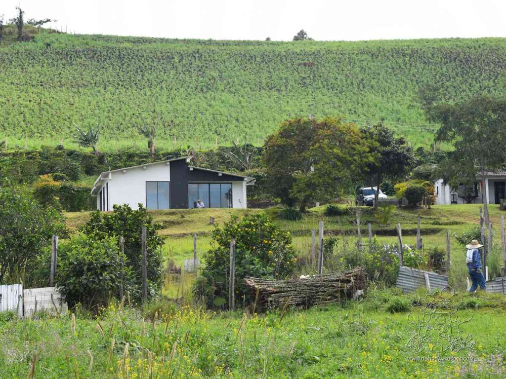 visitar una finca de café de especial nariñense desde Pasto