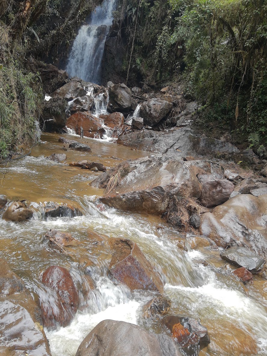 Laguna de la Cocha rodeada de vegetación andina cerca de Pasto
