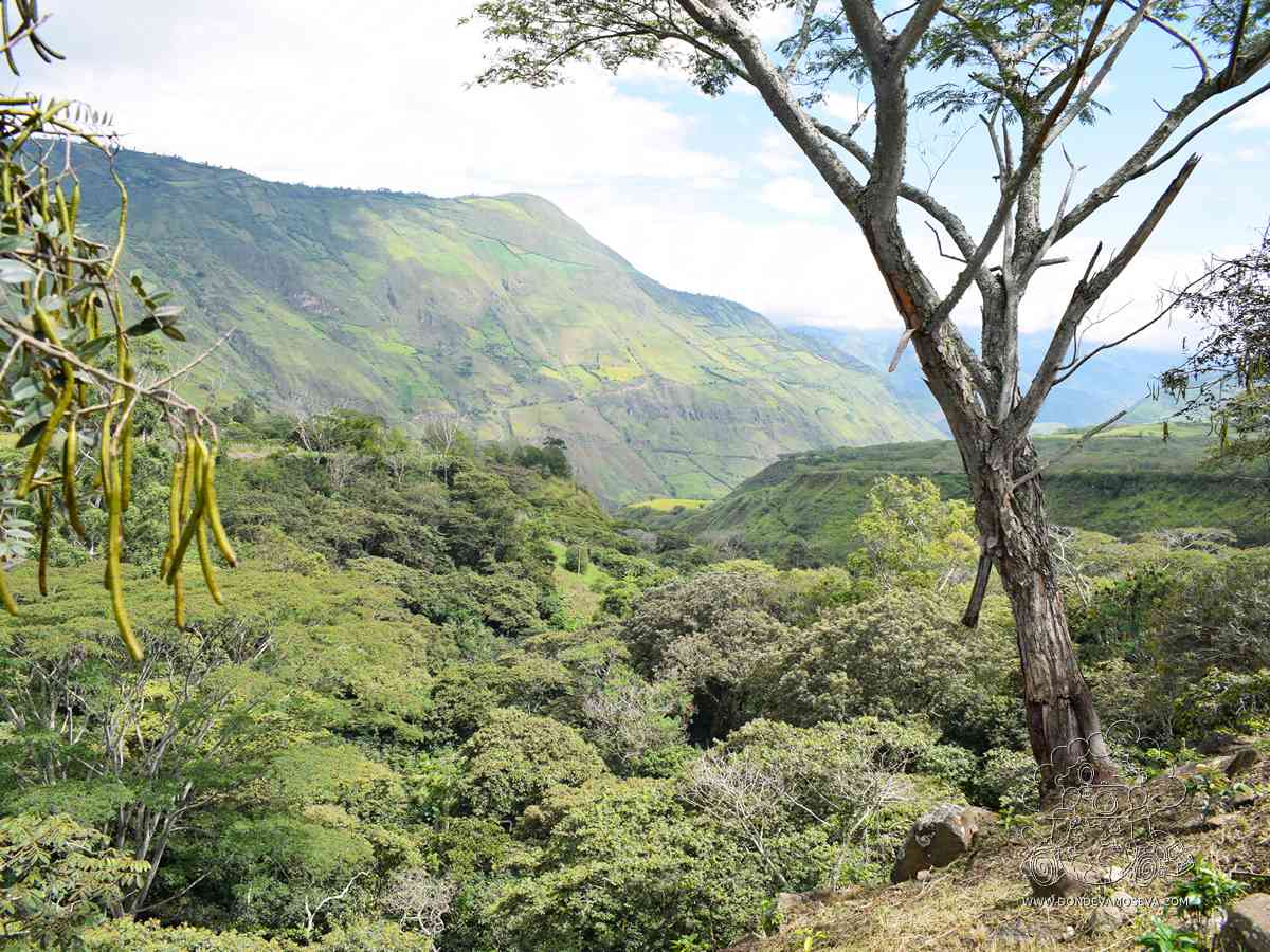 Paisaje de la ruta circunvalar al Volcán Galeras, Consacá, Nariño