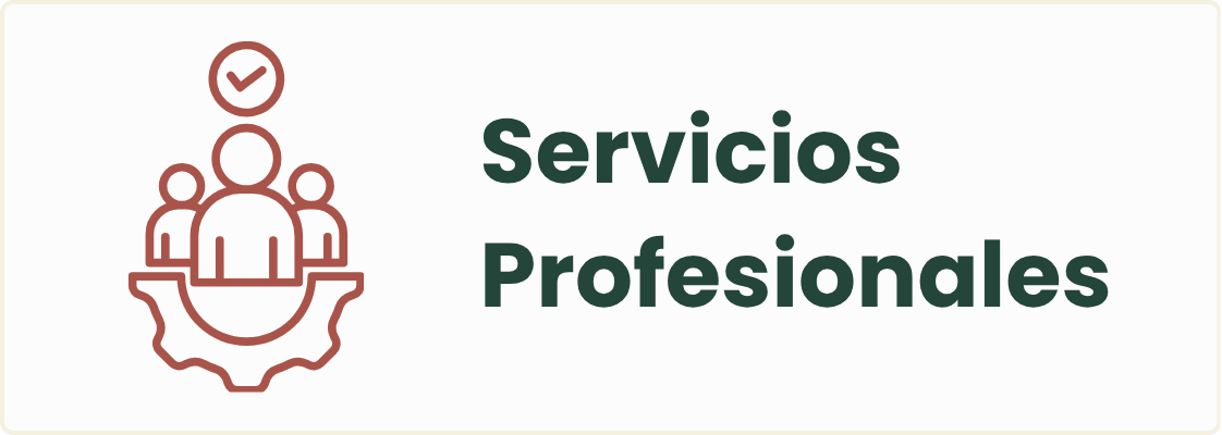Servicios Profesionales