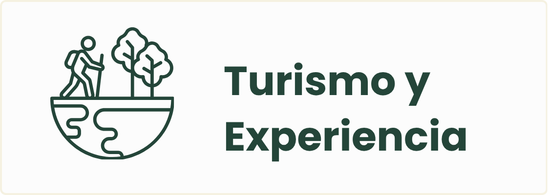 Turismo y Experiencias