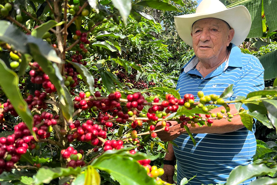 Café Villa Lucía 1949